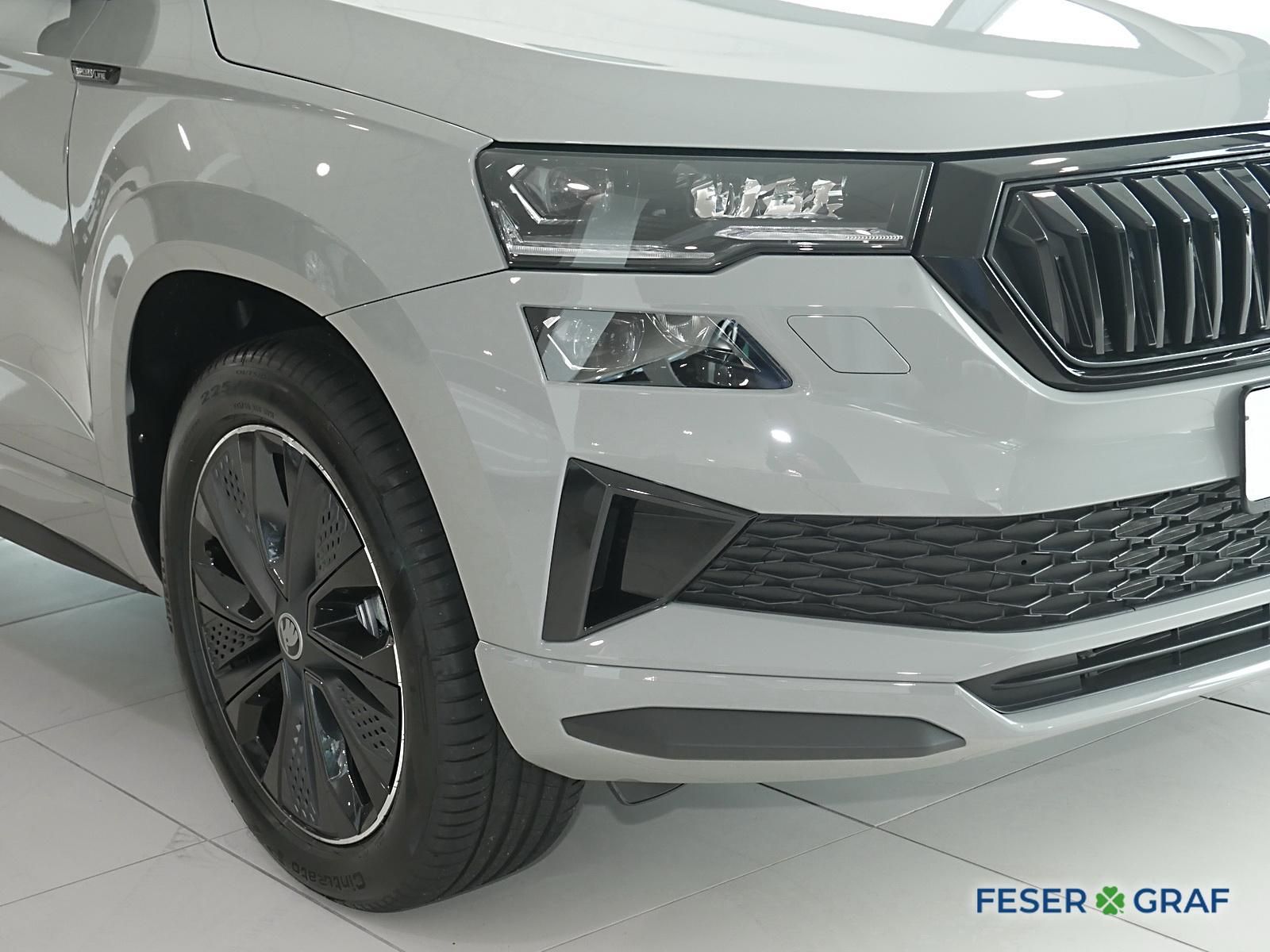 Skoda Karoq - Bild 10