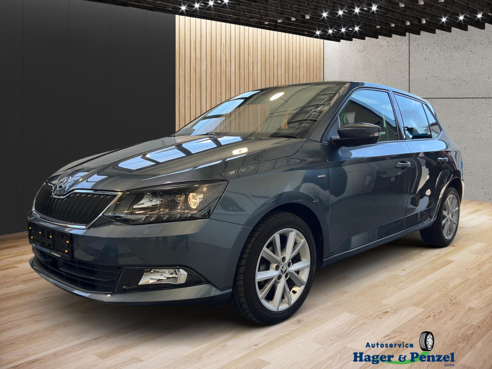 Skoda Fabia Clever Navi Klima DAB SHZ