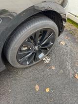 Jaguar F-Pace D300 R-DYNAMIC BLACK AWD R-DYNAMIC BLACK - Jaguar aus 2023