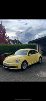 Volkswagen Beetle 1.2 TSI - - Volkswagen Beetle in Bonn