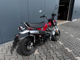 Honda Dax 125 - DAX