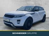 Land Rover Range Rover Evoque Dynamic WINTER-PAKET+PANORAMA - aus 2012: Evoque