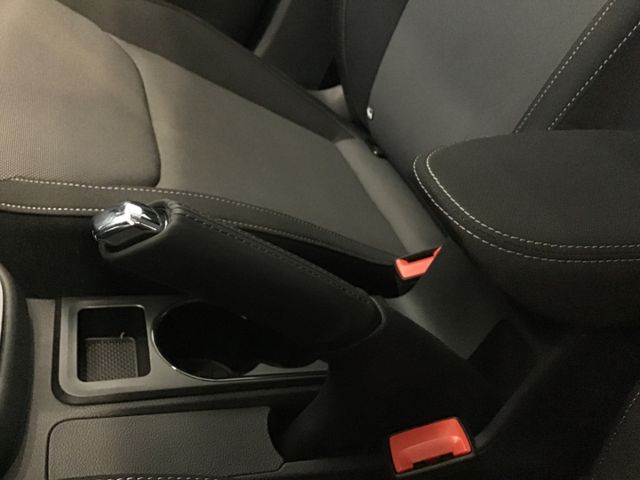 Fahrzeugabbildung Skoda Fabia Selection 1.0 TSI LED/Kamera/Tempo/SHZ/DAB