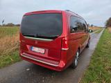 Mercedes-Benz V 250 d Aut. EDITION lang Leder Kamera LED - gebrauchte Mercedes-Benz V 250 aus dem Jahr 2024