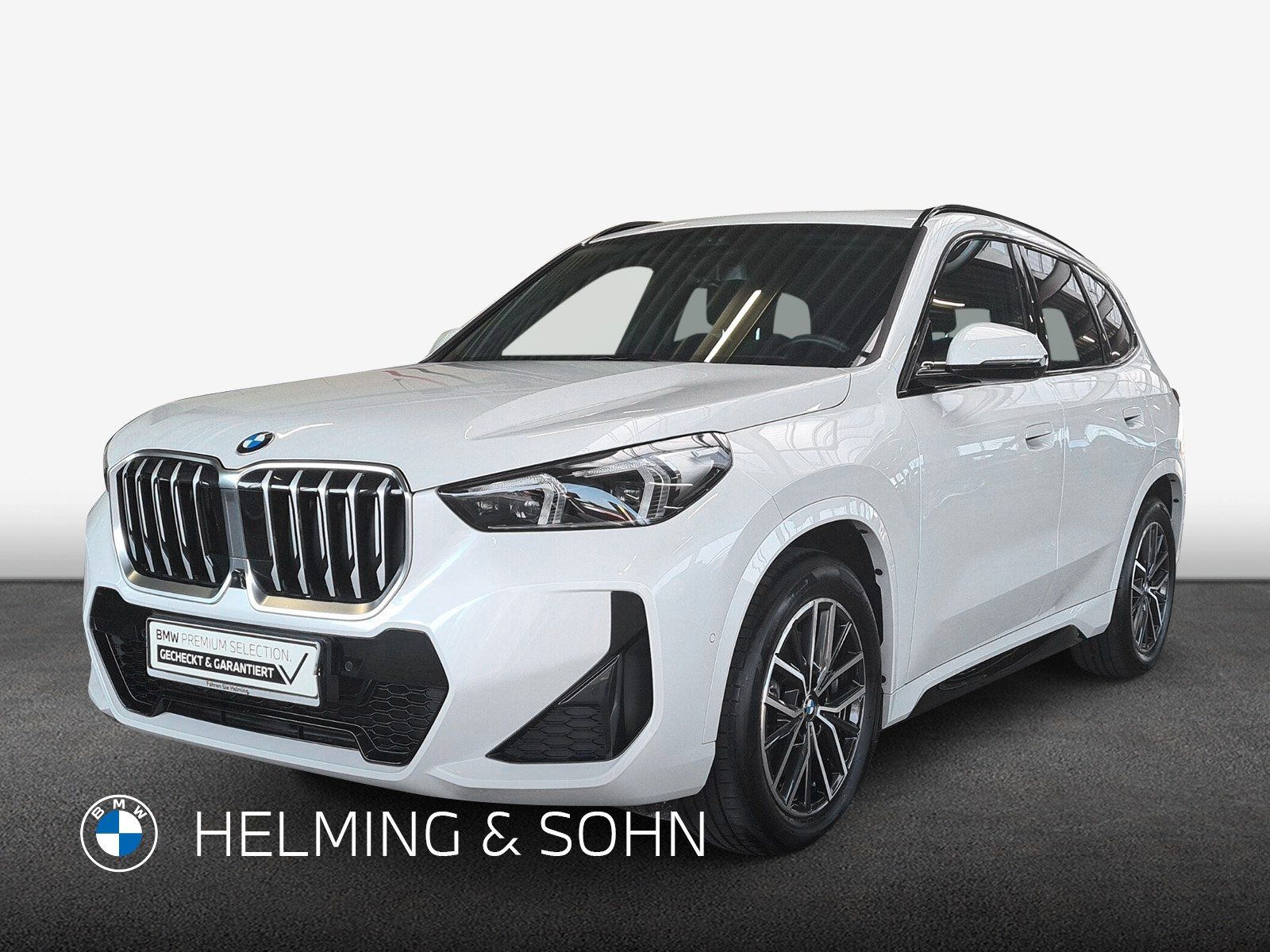 BMW X1 xDrive23i M-Sport LED Head-Up DAB Shz Komfort