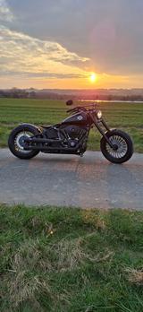 Harley-Davidson Softail Standard - Offers