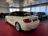 BMW 228i Cabrio//Autom//Kamera//Memory// - BMW 228 Gebrauchtwagen
