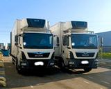MAN TGM 18.320 Refrigerated Supra Multitemperature - Angebote