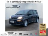 Fiat Pandina Cross 1.0 DAB Spurhalteass. Verkehrszeic - Fiat New Panda Tageszulassungen