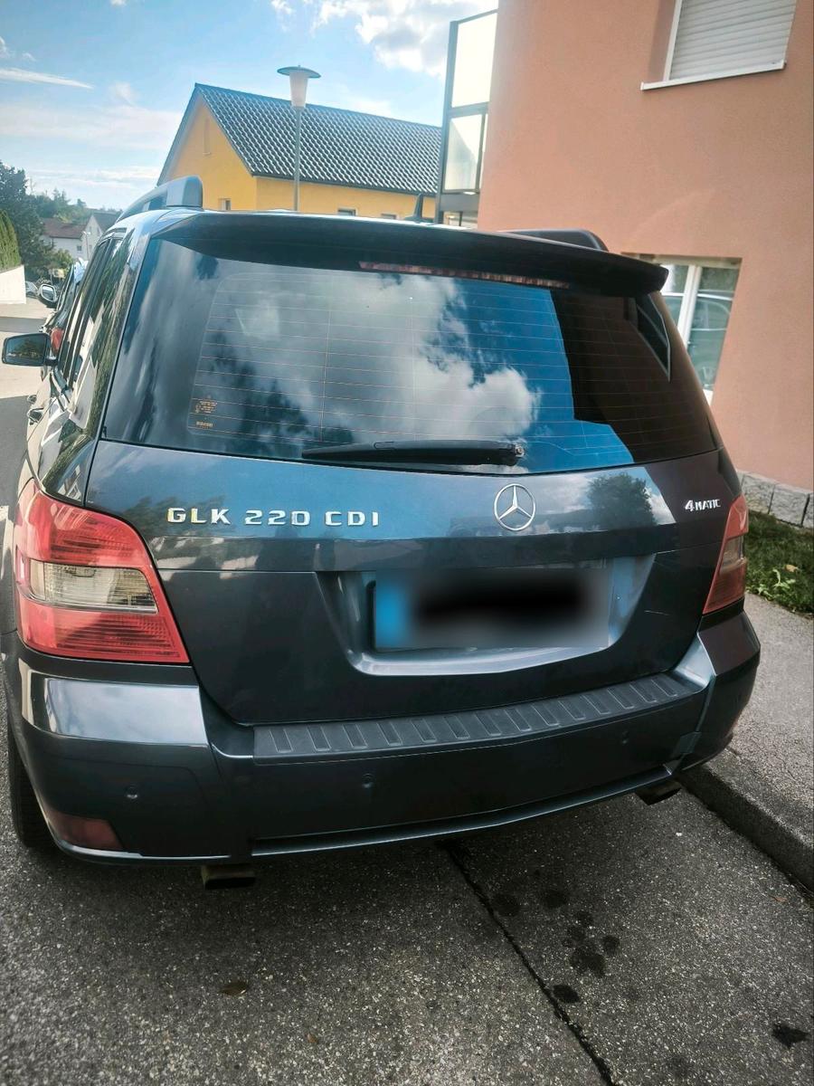 Mercedes-Benz GLK220 2009 — rear view