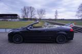 Ford Focus CC 2,0 Titanium Titanium - Ford Focus aus 2008: Cabrio