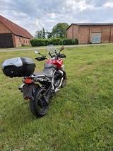 Moto Guzzi Stelvio 1200, Seitenkoffern und Topcase, TÜV neu - MOTO GUZZI MOTORRAD