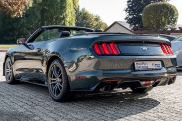Ford Mustang - 6