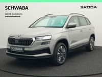 Skoda Karoq - Vorschau Bild 1