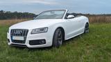 Audi S5 Cabrio - Audi S5 aus 2011