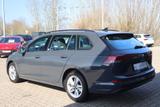 Volkswagen Golf VIII Variant 1.5 TSI Life LED Navi ACC PDC - Volkswagen Golf: Kombi, Golf5