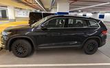 Skoda Kodiaq 2.0 TDI 4x4 Anhängerkupp. Sitzhz. v + h - Skoda Kodiaq von privat