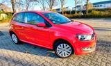 Volkswagen Polo 1.2 Comfortline  - Volkswagen Polo aus 2011: Comfortline