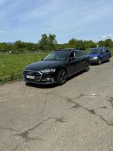 Audi A8 50 TDI quattro -HUD-Pano-B&O-ACC-Scheckheft  - Audi A8 in Mannheim