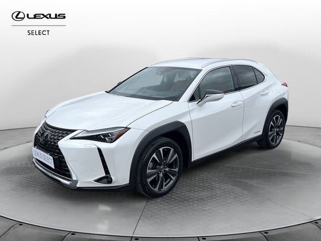 Lexus UX Hybrid 4WD Luxury