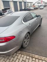 Jaguar XF 3.0 Diesel - gebrauchte Jaguar XF aus dem Jahr 2010