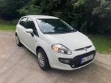 Fiat Punto Evo; Top Zustand - Fiat Punto: Weiß