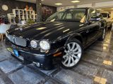 Jaguar XJ 2.7 D XJ6 Executive*Rarität*Garagenwagen*TOP - Jaguar in Frankfurt (Main)
