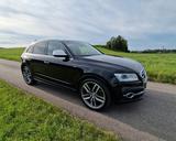 Audi SQ5 3.0 TDI competition tiptr. quattro TÜV NEU! - Audi SQ5 von privat