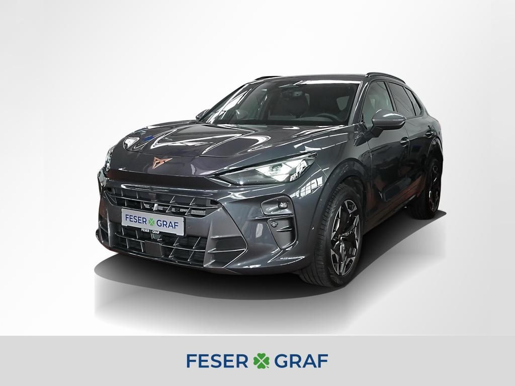 Image of Cupra Terramar