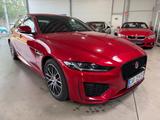 Jaguar XE P250 R-Dynamic Black Kamera|LED|TotWinkel|GSD - rote Jaguar XE