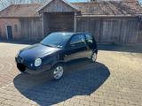 Volkswagen Lupo 1.0 College College