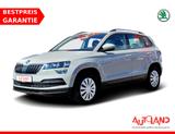 Skoda Karoq 1.0 Active - Skoda Karoq in Halle
