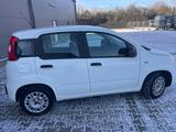 Fiat Panda 312 Zahnriemen, TÜV, Inspektion NEU - Fiat Panda Gebrauchtwagen in Frankfurt