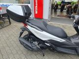 Honda FORZA 125 NSS125 2026er Model Tageszulassung 0KM - HONDA ROLLER 125