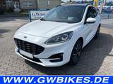 Ford Kuga ST-Line X 2.0 Diesel Ford Protect 7 Jahre*! - Ford Kuga in Hamm