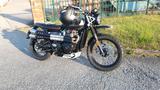 Triumph Street Scrambler 900 Sandstorm - TRIUMPH STREET SCRAMBLER