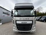 DAF CF 310 TT XL 6 Pferde Pop-Out. Moho Zulassung - Tier-/Pferdetransport 3 pferde