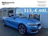BMW 225d SportLine Cabrio AHK Navi Kamera - BMW 2er Reihe mit Diesel-Antrieb: Cabrio, Automatik