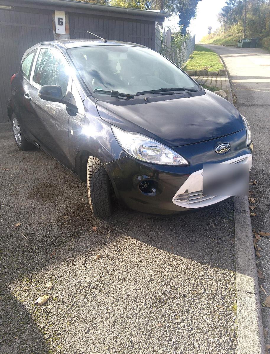 Ford Andere