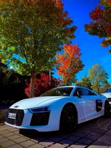Audi R8 V10 Plus  Liebhaberfahrzeug in To... - Audi R8: V10 Plus