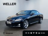 Lexus IS 250 Cabriolet Luxury Line *Navi*Xenon*Kamera* - : Cabrio, Luxury
