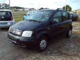 Fiat Panda 1.2 8V Emotion Klima 8.Fachbereift Servo - Fiat Panda: Emotion