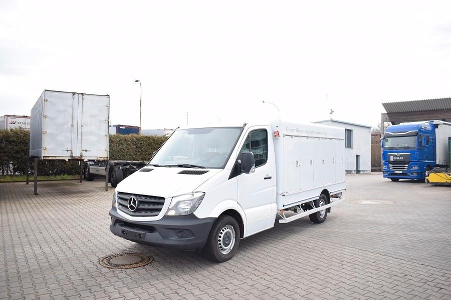 Mercedes-Benz Sprinter II 313 CDI Tiefkühl Eis Ice -40°