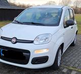Fiat New Panda 1.2 8V EASY EASY - weiße Fiat New Panda