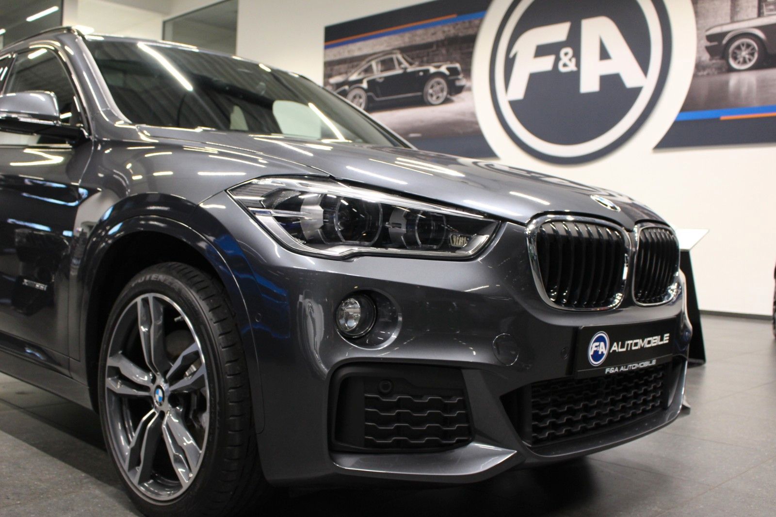 Fahrzeugabbildung BMW X1 xDrive 25 i M Sport Pano*HUD*Kamera*AHK