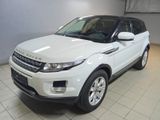 Land Rover Range Rover Evoque Pure - Land Rover Range Rover Evoque aus 2012