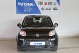 Fiat Panda Pandina 1.0 Hybrid *CityPaket* - Fiat Panda: Pandina