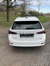 Skoda Octavia IV Combi 2.0 TDI DSG First Edit. PANO - Skoda Octavia iV Gebrauchtwagen