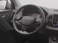 Skoda Karoq - Vorschau Bild 9