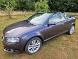 Audi A3 1.2 TFSI Ambition Cabriolet Ambition - Audi A3 aus 2011: Cabrio